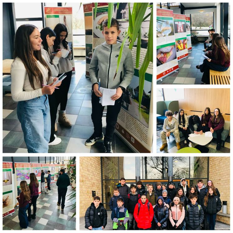 Hungarikum Roll-Up kiállítás