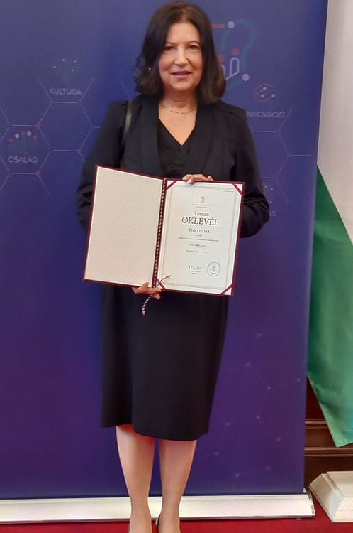 Miniszteri elismerés