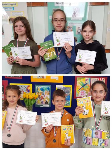 Bendegúz Tudásbajnokság vármegyei eredmények