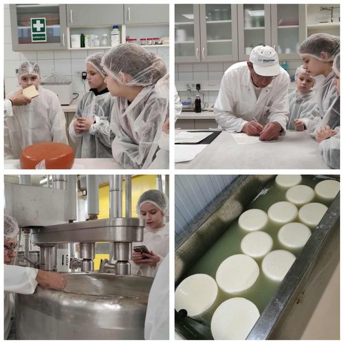 Honismereti versenyre készülünk