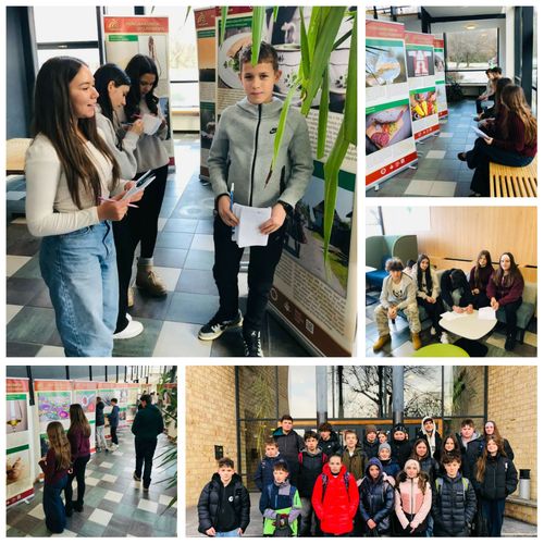 Hungarikum Roll-Up kiállítás